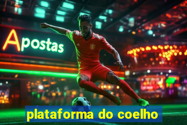 plataforma do coelho